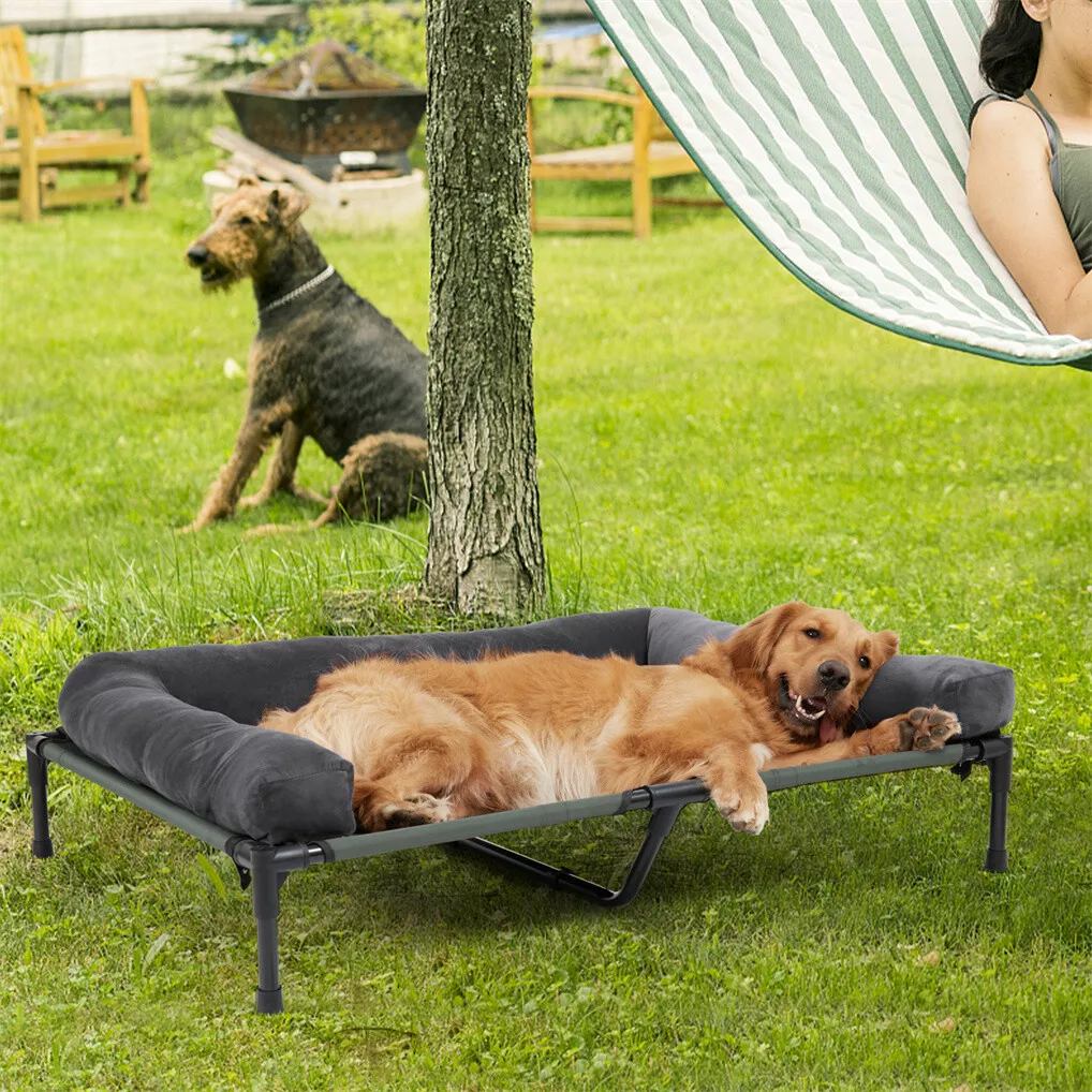 BINGOPAW屋外用犬用ベッド、高床式冷却ペット用ラウンジ - Bed Outdoor Camping のレビューと価格