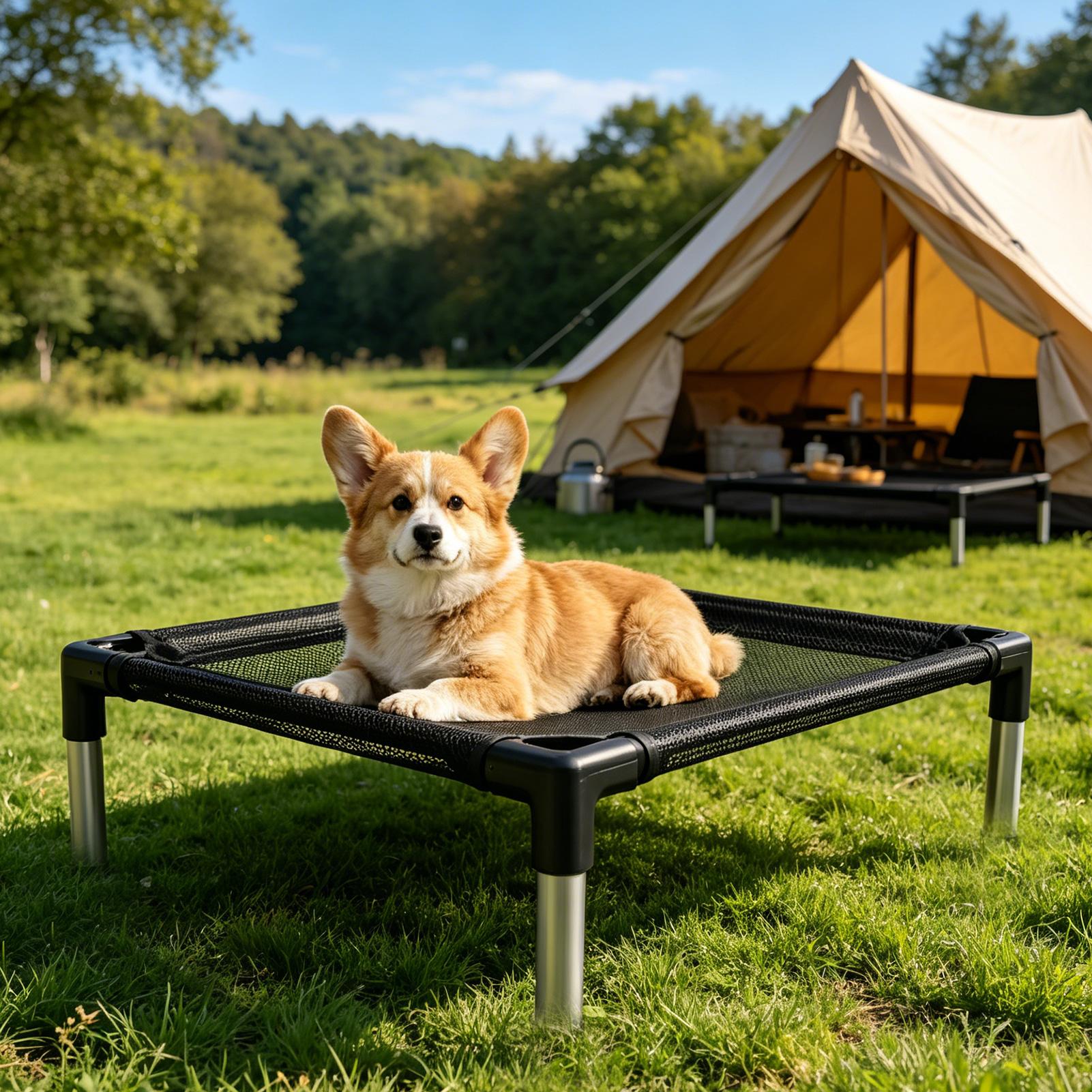 高床式犬用ベッド　通気性メッシュ　洗濯可能　ポータブルコット - Outdoor Camping Dog Bed のレビューと価格